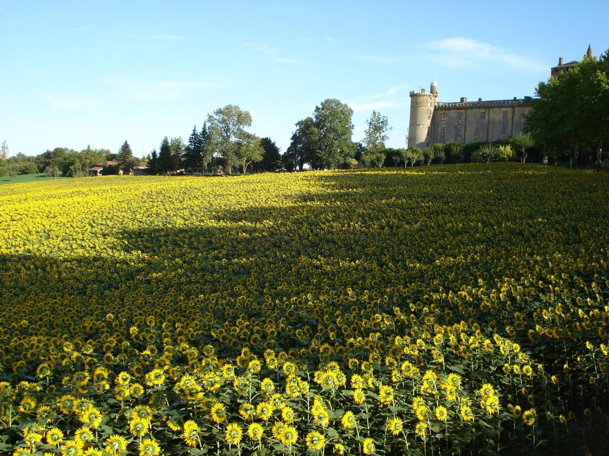 Готель Relais Du Chateau Saint-Blancard Екстер'єр фото